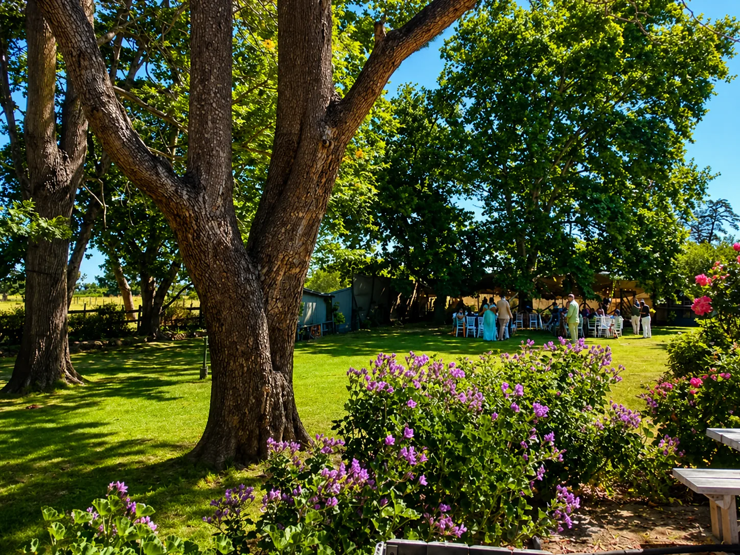 The Oak Tree Garden at Lat Wai